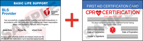 Sample American Heart Association AHA BLS CPR Card Certificaiton and First Aid Certification Card from CPR Certification New Haven