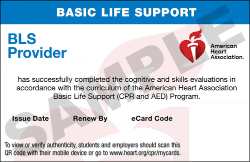 Sample American Heart Association AHA BLS CPR Card Certification from CPR Certification New Haven