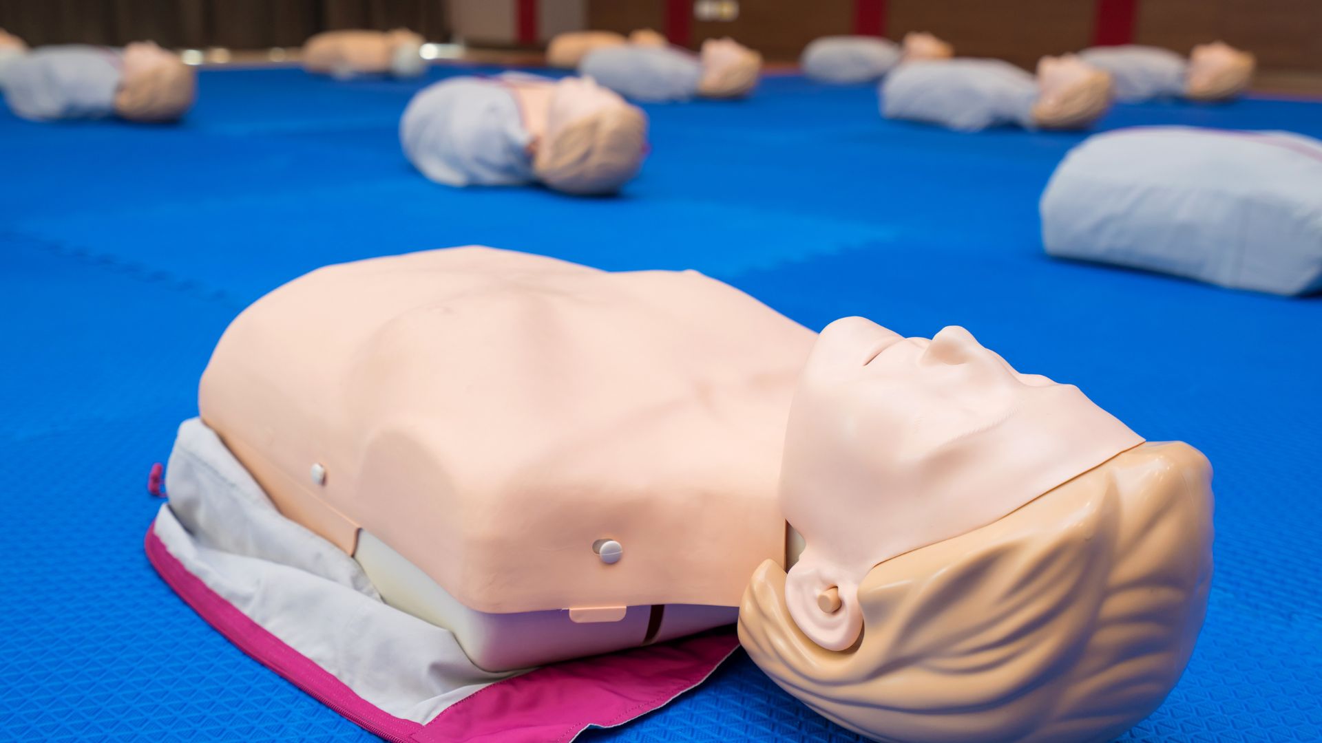 cpr-certification-new-haven