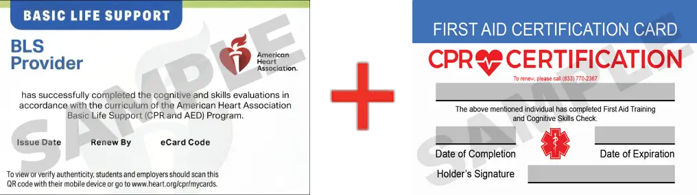 Sample American Heart Association AHA BLS CPR Card Certification and First Aid Certification Card from CPR Certification New Haven